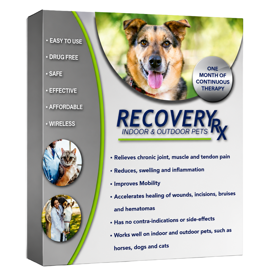 RecoveryRx Veterinary